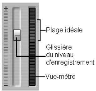 PINNACLE STUDIO 9 - Niveau de la voix-off - 1