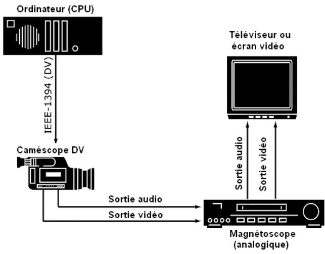 PINNACLE STUDIO 9 - Connexion d'un téléviseur ou d'un écran video - 1