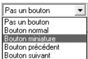 PINNACLE STUDIO 9 - La section Boutons - 1