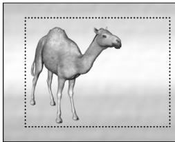 PINNACLE STUDIO 9 - Stabiliser - 3