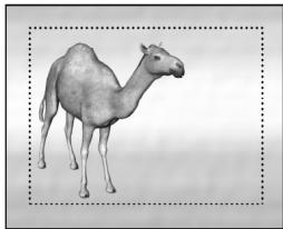 PINNACLE STUDIO 9 - Stabiliser - 1