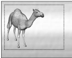 PINNACLE STUDIO 9 - Stabiliser - 2