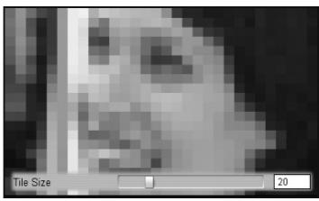 PINNACLE STUDIO 9 - Mosaïque - 2