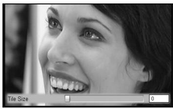 PINNACLE STUDIO 9 - Mosaïque - 1