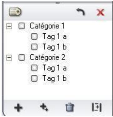 PINNACLE MOBILE MEDIA ORGANIZER - Le filtre à tags - 1