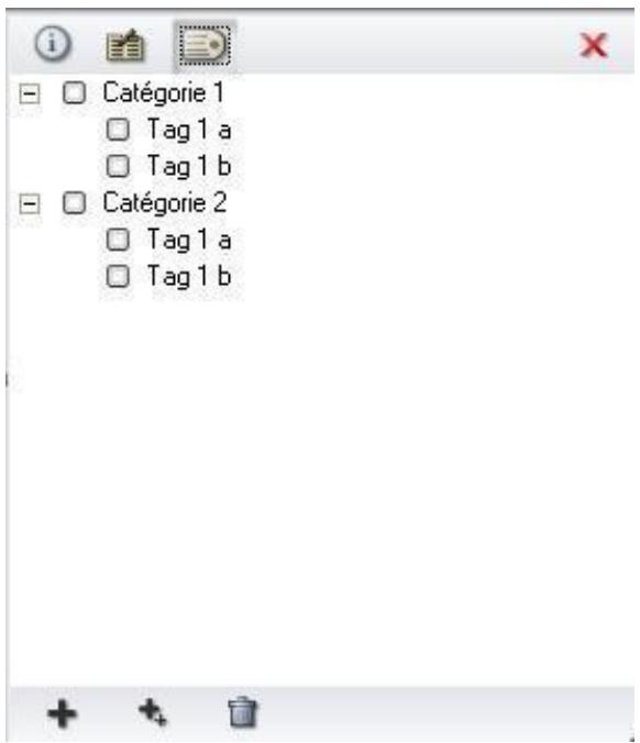 PINNACLE MOBILE MEDIA ORGANIZER - L'éditeur de tags - 1