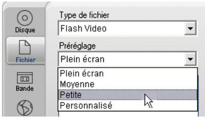 PINNACLE STUDIO 12 - Flash Video - 1