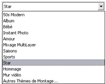PINNACLE STUDIO 12 - LA SECTION THEMES DE MONTAGE® - 2
