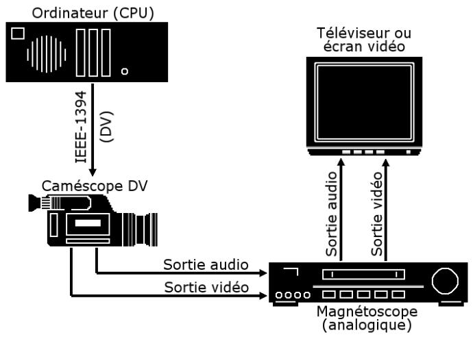 PINNACLE STUDIO 12 - Connexion d'un téléviseur ou d'un écran video - 1