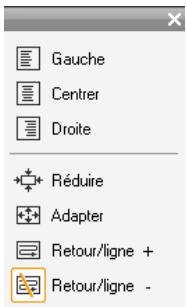 PINNACLE STUDIO 12 - Commandes de mise en forme du texte - 2