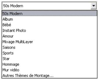 PINNACLE STUDIO 12 - Thèmes Montage® et édition thématique - 1