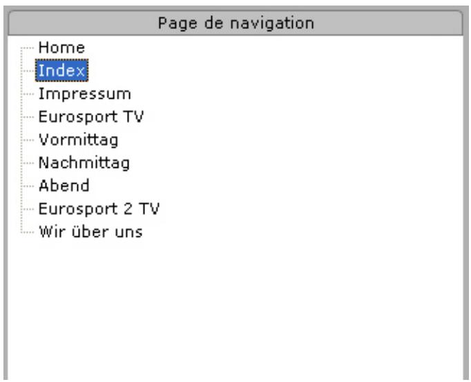 PINNACLE TVCENTER PRO - Navigation dans la fenêtre télétexte TOP - 1