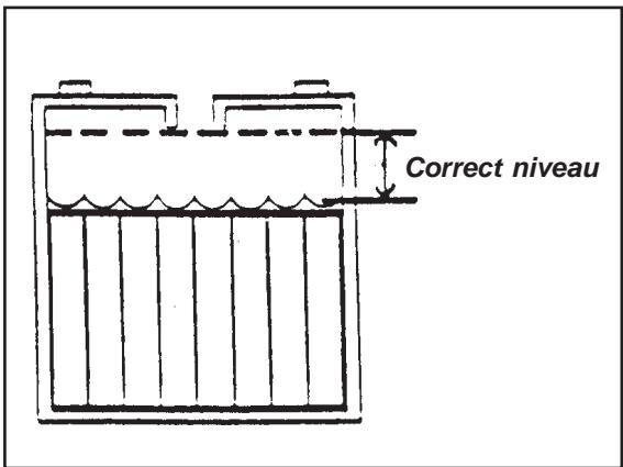 NILFISK SCRUBTEC 743 - Onderhoud van de batterijen - 4