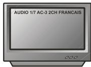 PEEKTON PK 6750 - Fonction AUDIO - 3