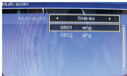 PEEKTON 19LC101R - Changement audio et langue - 1