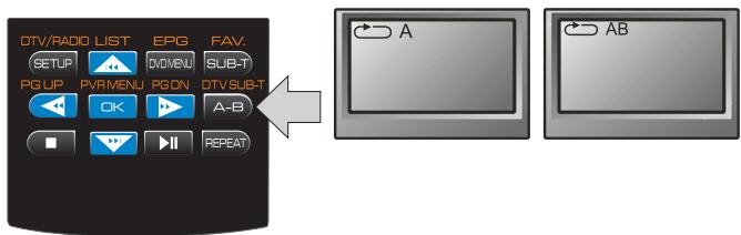 PEEKTON 19LC101R - Fonction A-B - 1