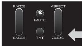 PEEKTON 19LC101R - Fonction AUDIO - 1