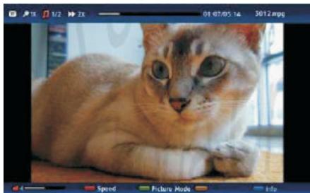 PEEKTON 22LC179HD - Lecteur video - 1
