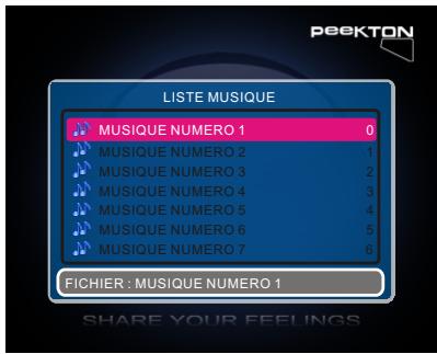 PEEKTON MINIPEEK 288 - Menu MUSIQUE - 1