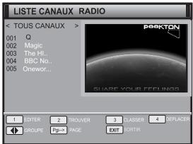 PEEKTON PK 1211 TNT - LISTE CANAUX RADIO - 1