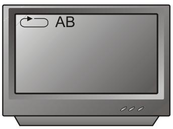 PEEKTON PK 6004 - Fonction A-B - 3