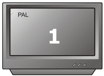 PEEKTON PK 6004 - Sélection du type de standard TV - 1