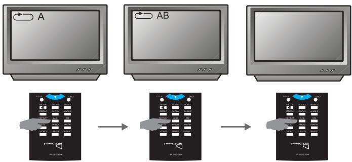 PEEKTON PK 6024 - Fonction A-B - 1