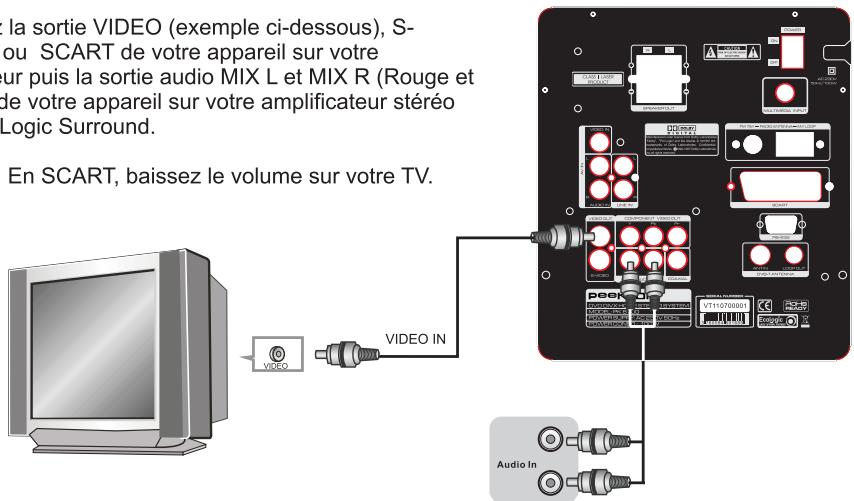 PEEKTON PK 8700 - Raccordement à un système simple - 1