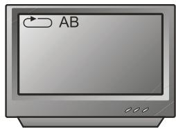 PEEKTON PK 9005 - Fonction A-B - 2