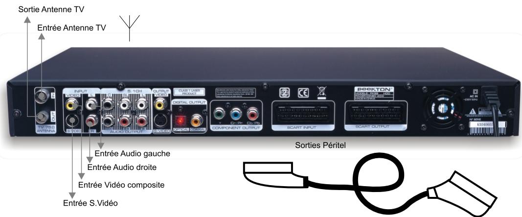 PEEKTON PK 9910 - Connexion avec les entrées du panneau arrêté - 1