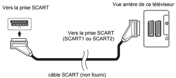 FUNAI LT6-M32BB - [branchement de la PRESE SCART] - 1