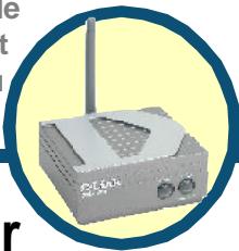 D-LINK DWL-G810 - 1