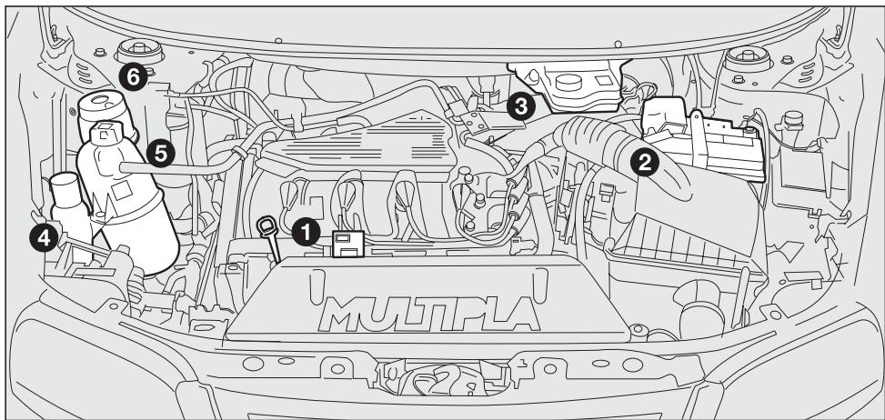 FIAT MULTIPLA 2006 - VERIFICATION DES NIVEAUX - 1