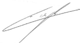 CGV ZAPLINE UNIVERSEL - ZAPLINE universel - 1