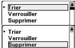 CGV PREMIO HD-W - 'Gestion des chaînes': supprimer des chaînes TNT - 1