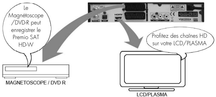 CGV PREMIO SAT HD-W - Mode « AV » (le Premio SAT HD-W est allumé et l'utilisateur a appuyé 1x sur la touche « AV», l'afficheur indique alternativement « AV» ou le numéro de la chaine sélectionnée) - 1