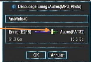 CGV 70009 E-FRANSAT HD-W - Brancher un disque dur USB - 3