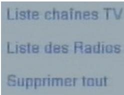 CGV STL - Menu édition des chaînes - 2