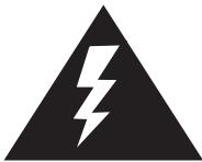 JBL RADIAL - Important Safety Instructions - 1