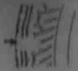 DAELIM VS125 - FISSURES,DOMMAGE - 2