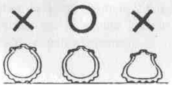 DAELIM VS125 - Vérification du pneu - 1
