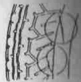 DAELIM VS125 - FISSURES,DOMMAGE - 1