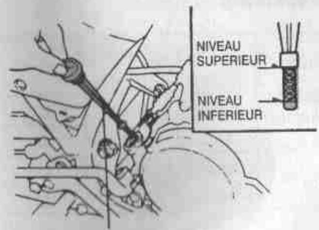 DAELIM VS125 - Vérification du niveau d'huile - 1