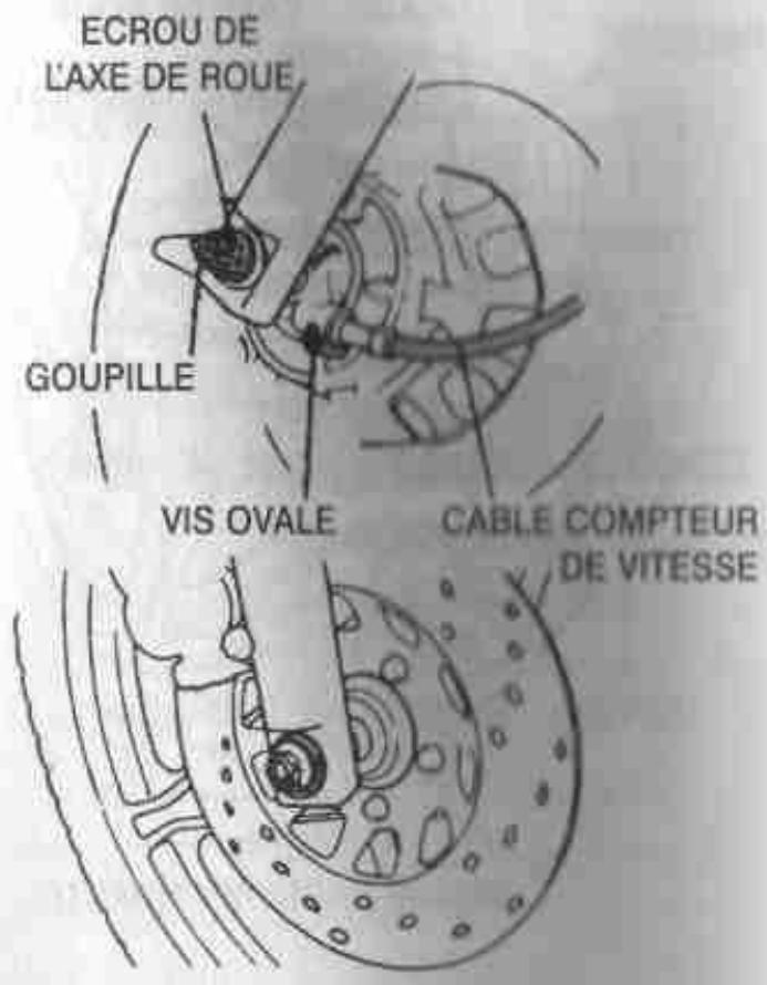 DAELIM VS125 - ATTENTION - 1