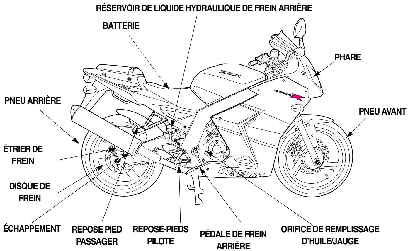 DAELIM ROADWINR - CAUTION - 2