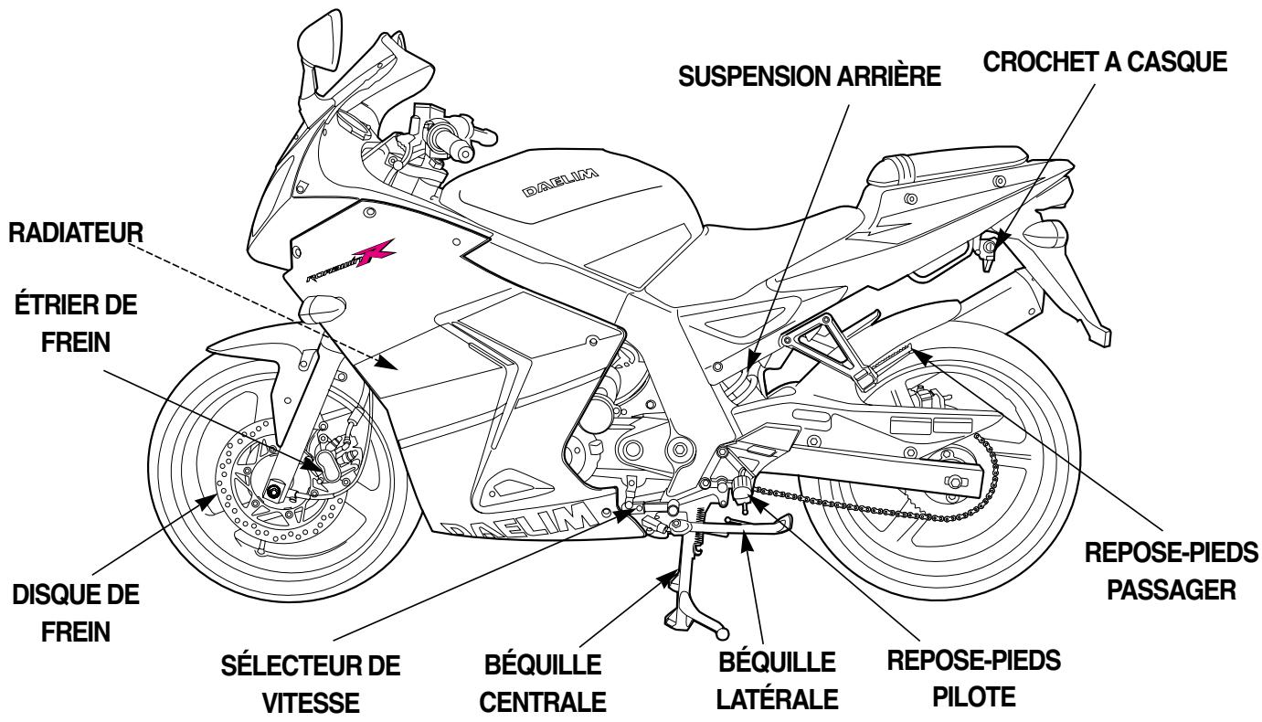 DAELIM ROADWINR - CAUTION - 3