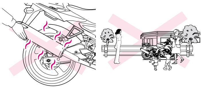 DAELIM ROADWINR - SILENCIEUX - 1