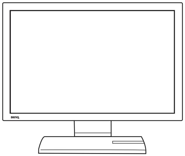 BENQ FP202W A - Présentation du moniteur - 1