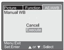 BENQ C60 - WB Manuel - 1