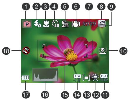 BENQ E1280 - Mode Capture - 1